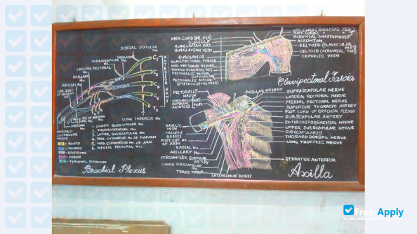 Medical College and Hospital Kolkata photo #13