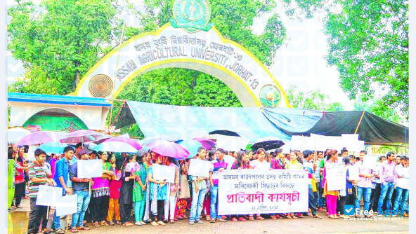 Assam Agricultural University фотография №4
