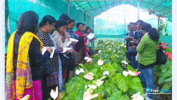 Assam Agricultural University photo #6