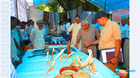 Gurukula Kangri Vishwavidyalaya photo