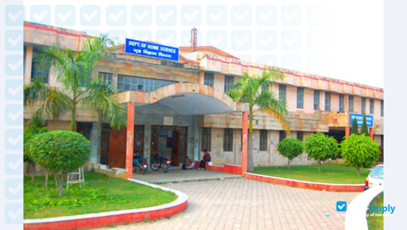 Photo de l’Ch Charan Singh University #3