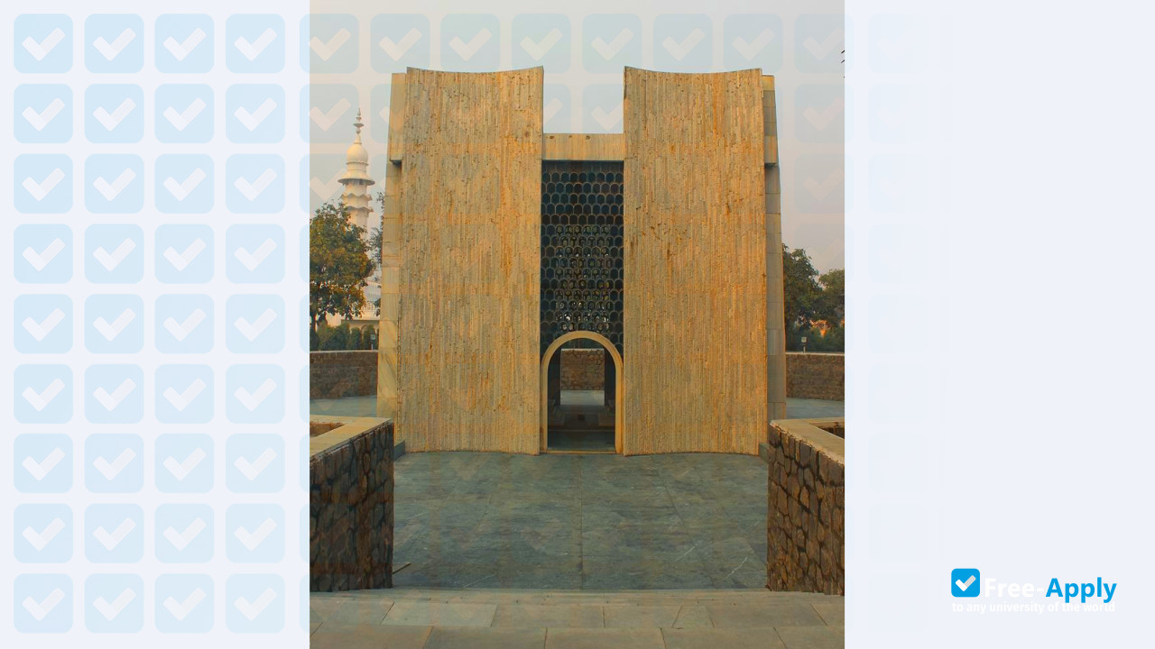 Jamia Millia Islamia photo #6