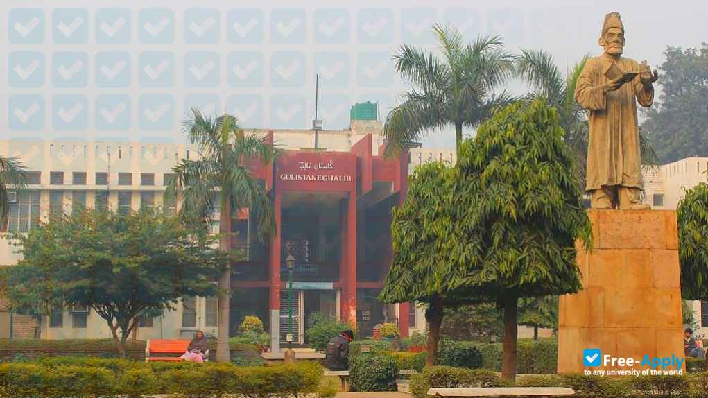 Jamia Millia Islamia photo #9