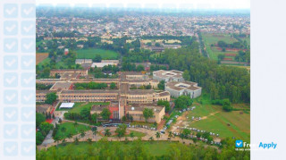 Miniatura de la Thapar University #11