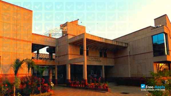 Indian Institute of Information Technology Design and Manufacturing Jabalpur photo