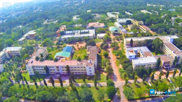 Photo de l’University of Mysore #3