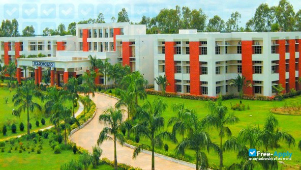 Rajiv Gandhi University of Knowledge Technologies photo #4