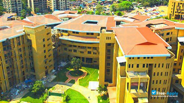 Dr D Y Patil University фотография №13