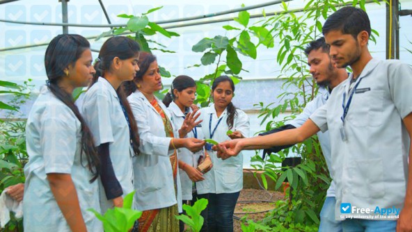 Dr D Y Patil University фотография №7