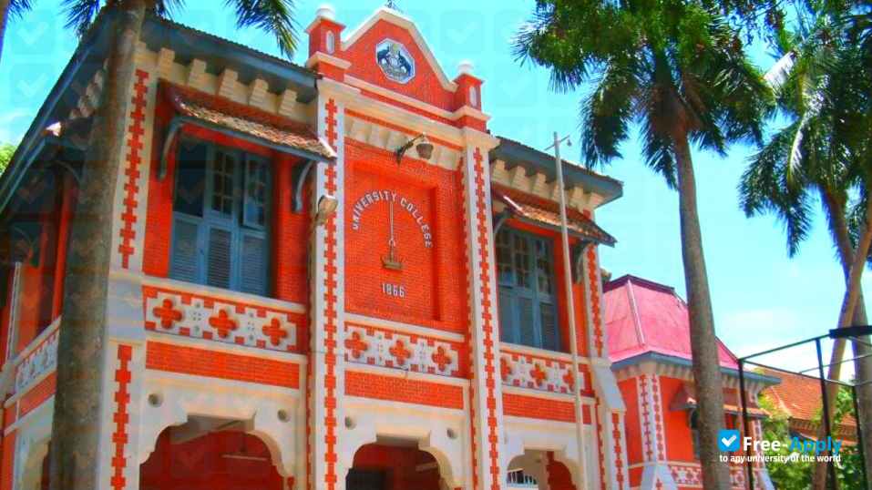 University College, Thiruvananthapuram фотография №7