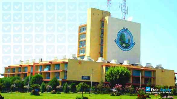 Central University of Jammu фотография №3