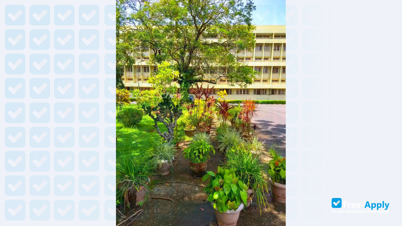 Photo de l’National Institute of Technology, Karnataka #8