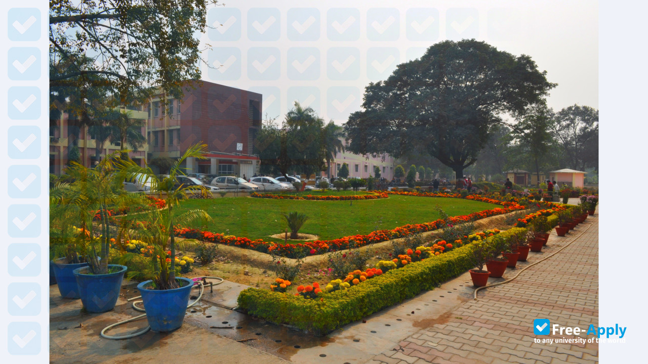Foto de la Motilal Nehru National Institute of Technology Allahabad #3