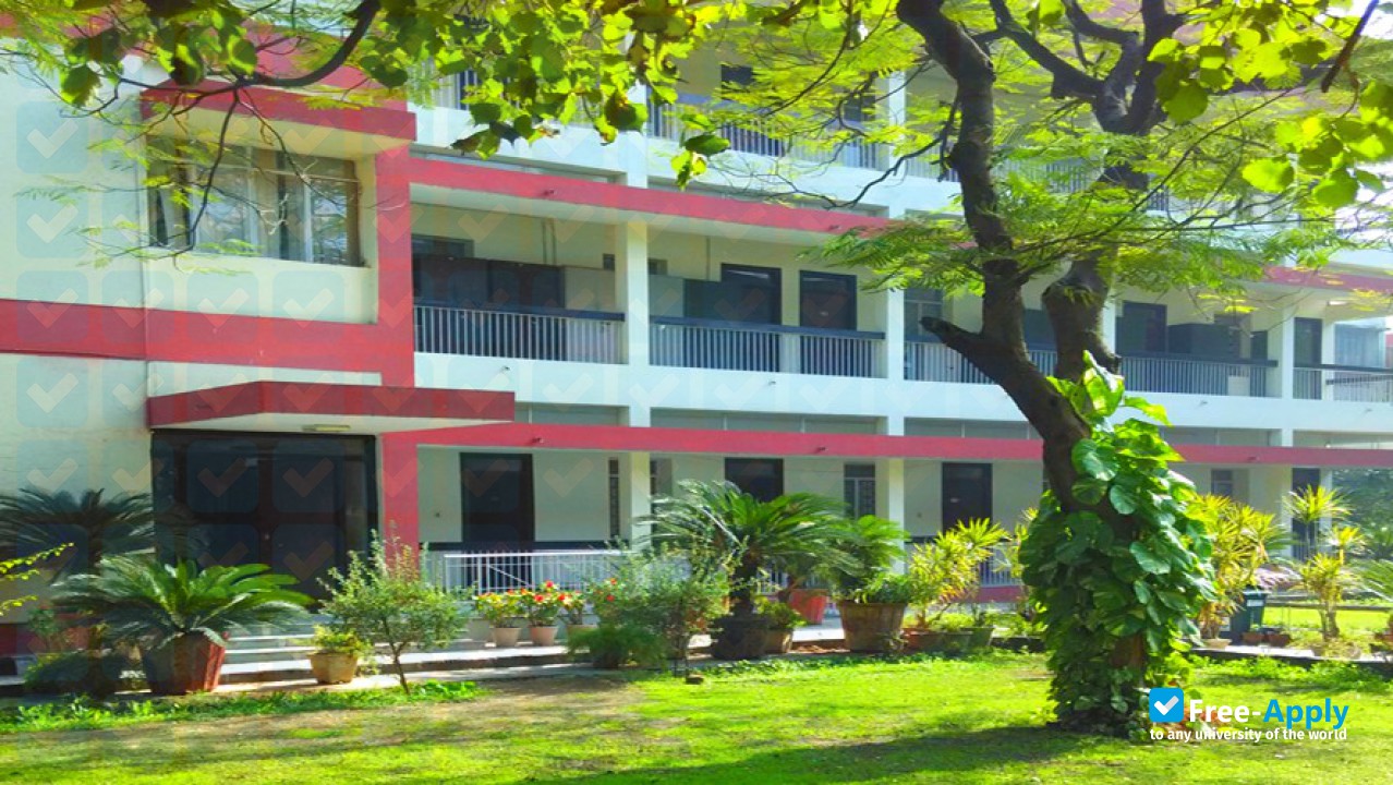 Delhi School of Economics photo
