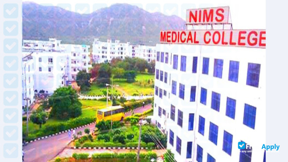 Photo de l’NIMS University #13