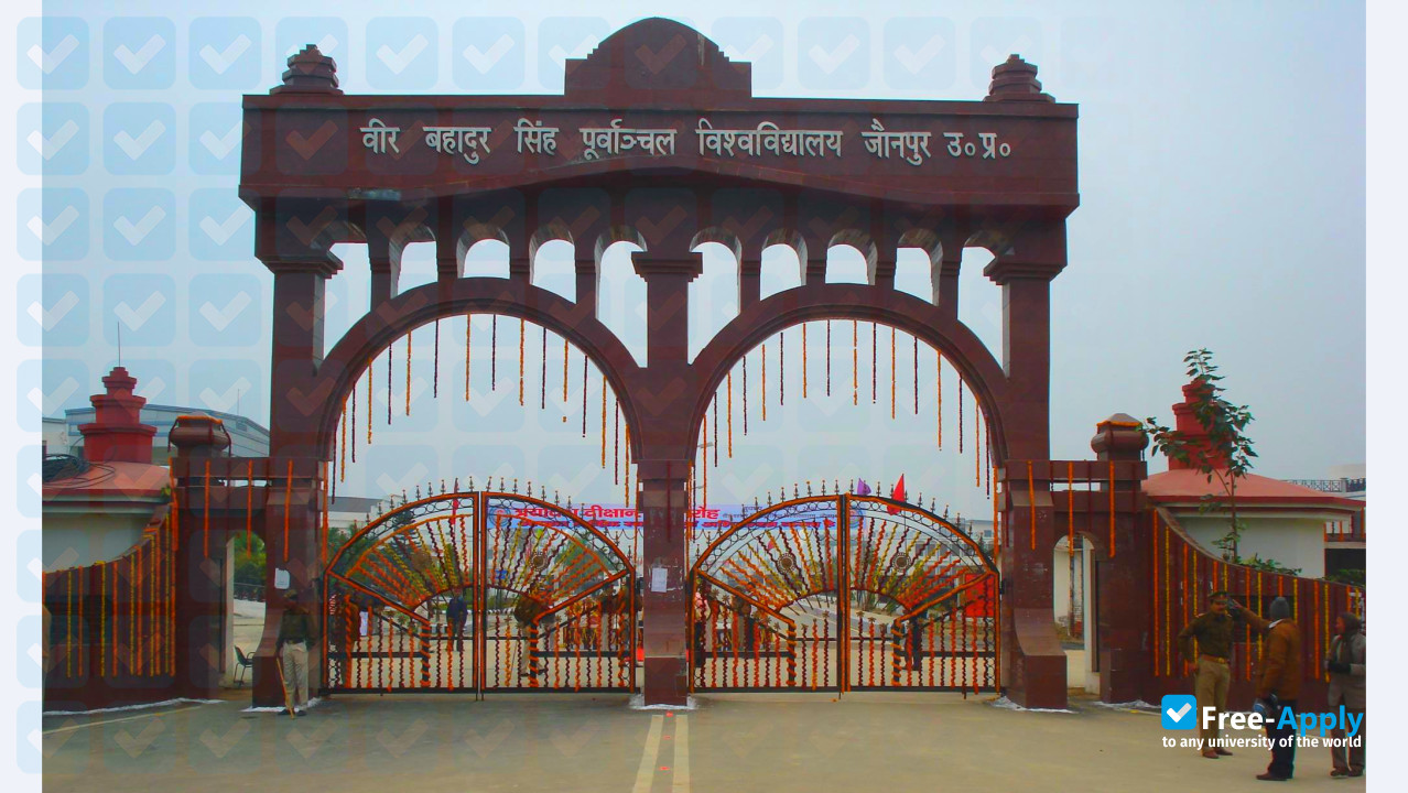 Veer Bahadur Singh Purvanchal University photo #6