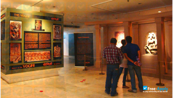 National Museum Institute of History of Art Conservation and Museology photo #4