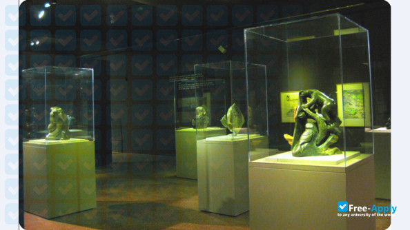 National Museum Institute of History of Art Conservation and Museology photo #2