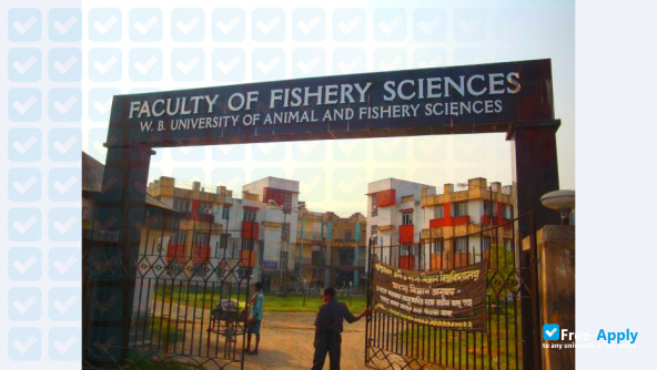 Maharashtra Animal & Fishery Sciences University photo #7