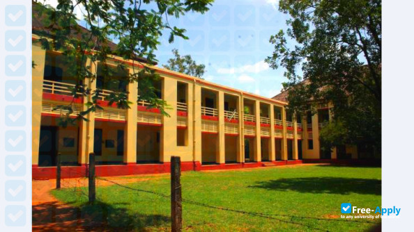 Madras Christian College photo #13