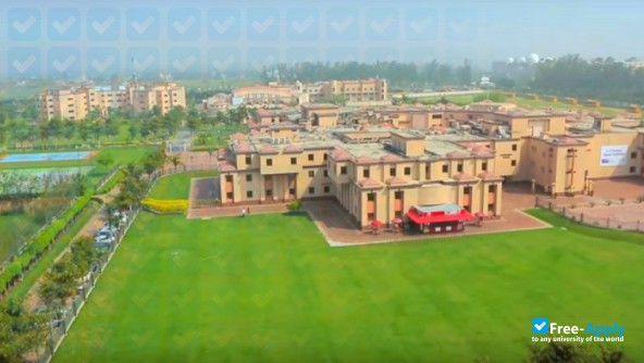 GD Goenka University Gurgaon photo #11