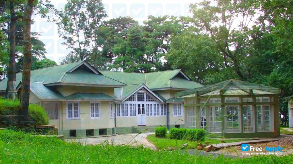 Indian Institute of Management Shillong photo #6