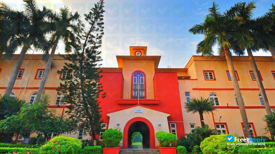 D. G. Ruparel College of Arts, Science and Commerce photo #15