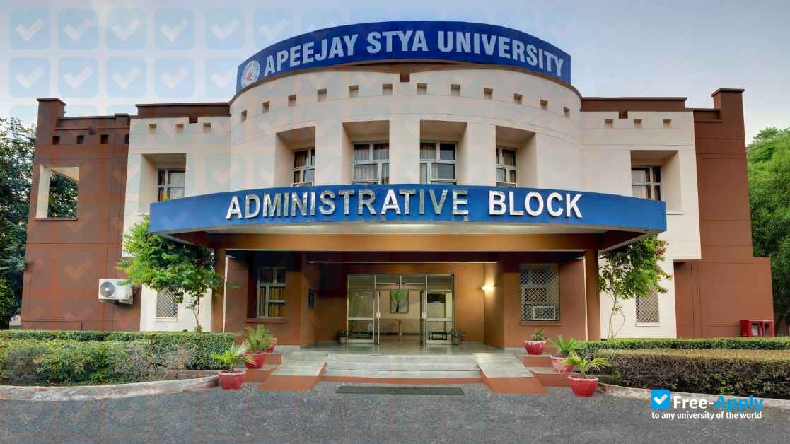 Apeejay Stya University photo #2