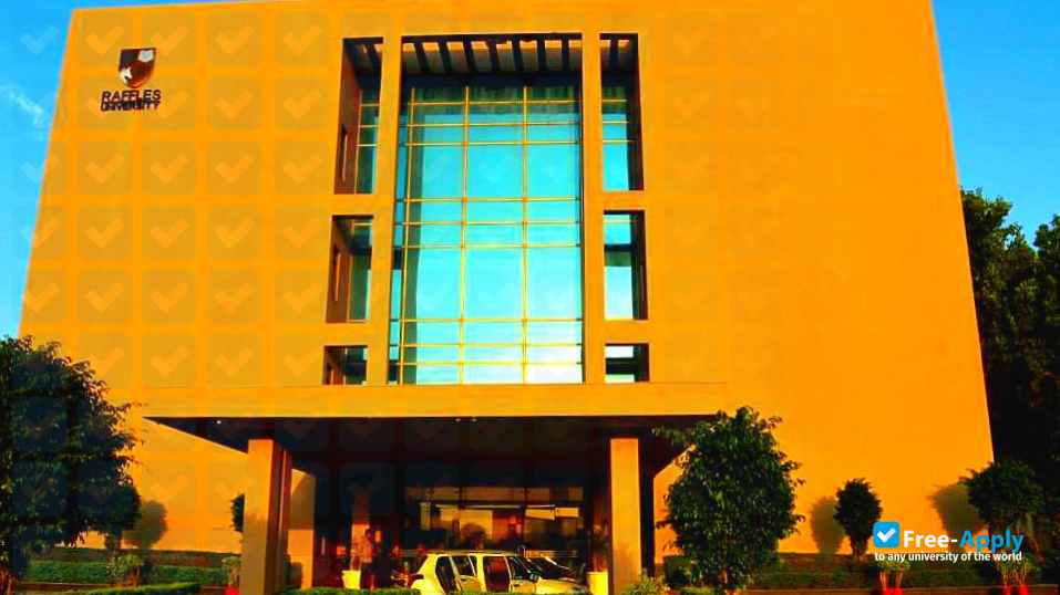 Raffles University Neemrana photo #5