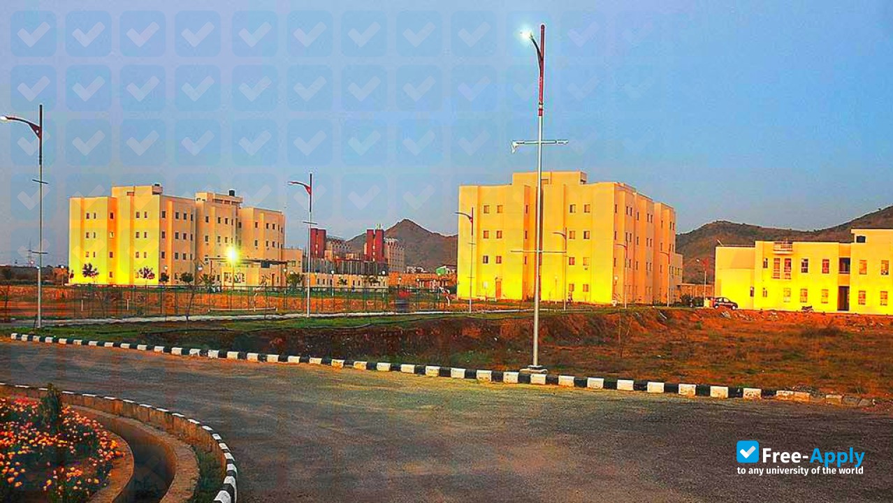 Raffles University Neemrana photo #3