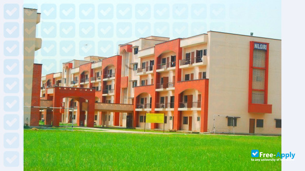 Institute of Management Studies photo #1