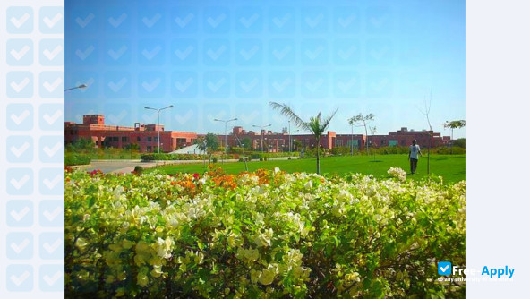 L N M Institute of Information Technology Jaipur фотография №4