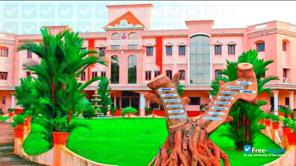 Photo de l’SAHRDAYA College of Engineering & Technology #2