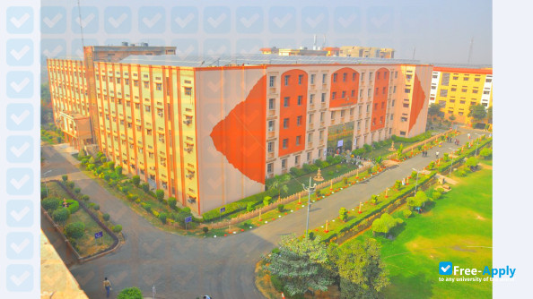 Photo de l’Lingaya's University #8