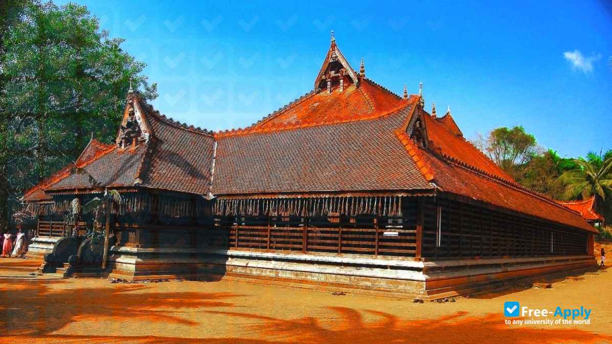 Kerala Kalamandalam Deemed University for Art and Culture photo #2