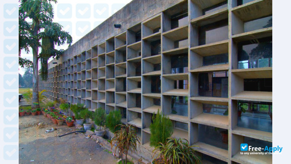 Chandigarh College of Architecture photo #3
