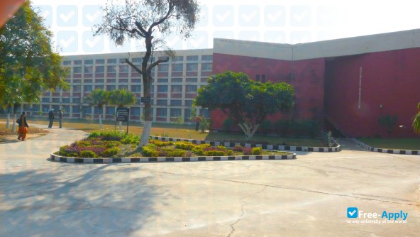 Foto de la Guru Nanak Dev Engineering College #2