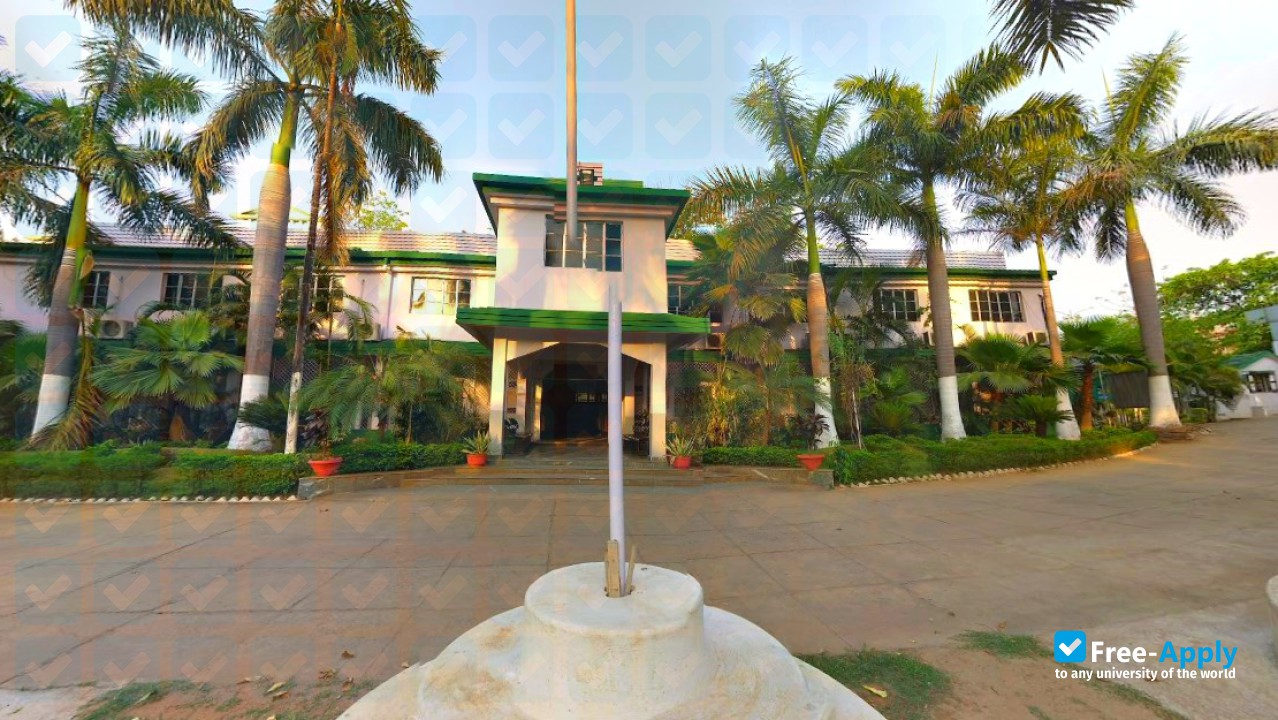 Foto de la Rourkela Institute of Management Studies #2