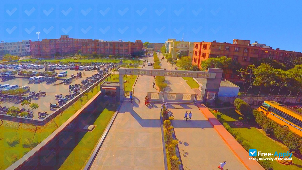 Foto de la Maharishi Markandeshwar University, Ambala #3