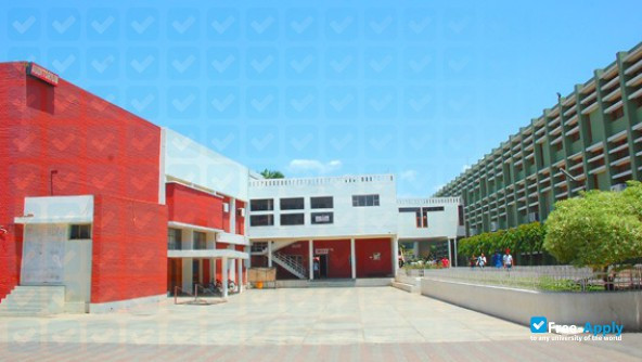 D A V College Chandigarh photo #5