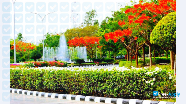 Jaypee University of Engineering & Technology, Guna photo #16