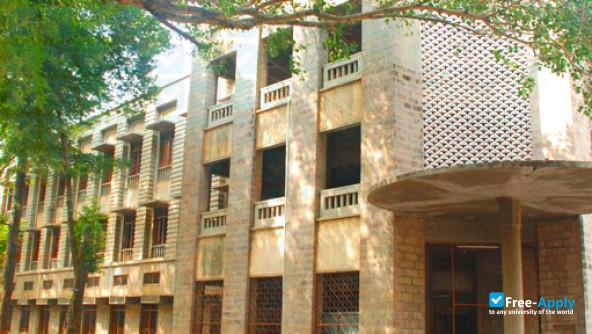 Andhra Loyola College photo #7
