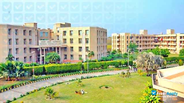 University of Patanjali photo