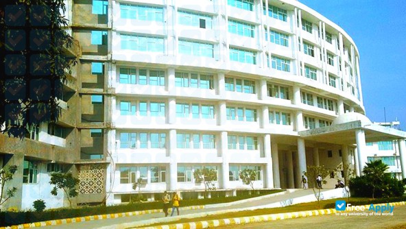 Foto de la Shri Venkateshwara University #4