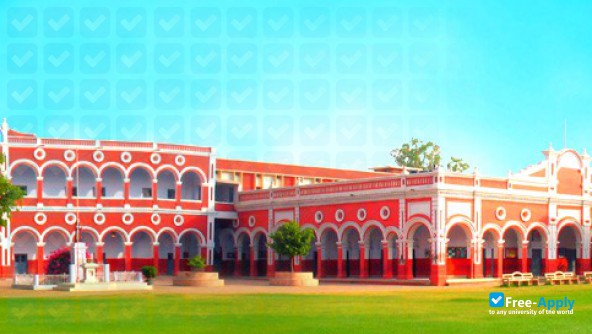 Foto de la St Francis' College #3