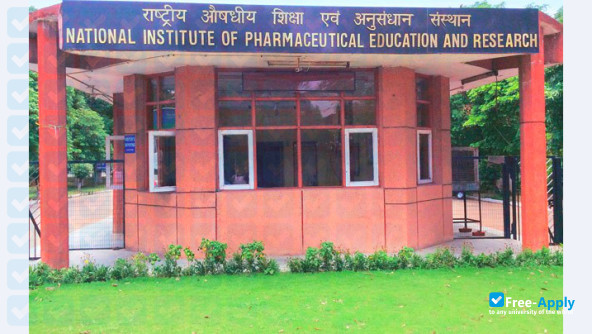 National Institute of Pharmaceutical Education and Research, Guwahati фотография №4