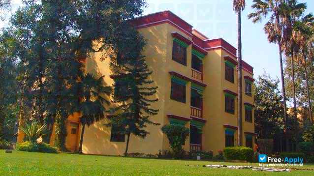 Central Institute of Higher Tibetan Studies photo #2