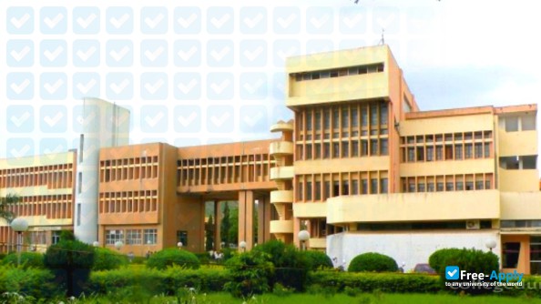 Babasaheb Naik College of Engineering, Pusad photo #3
