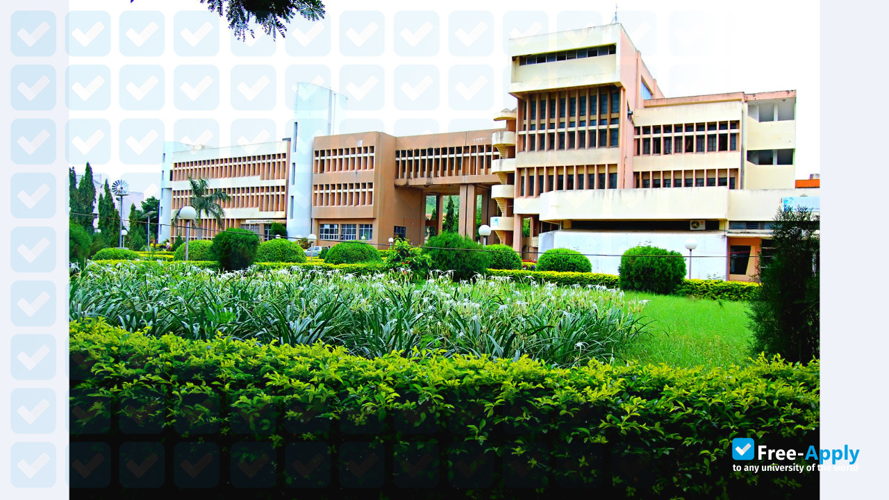 Babasaheb Naik College of Engineering, Pusad photo #9