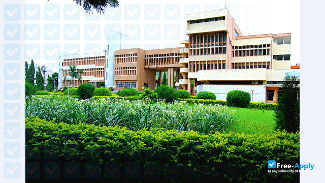 Babasaheb Naik College of Engineering, Pusad фотография №8